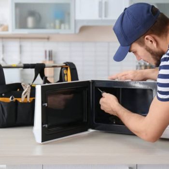 noisy-microwave-repair
